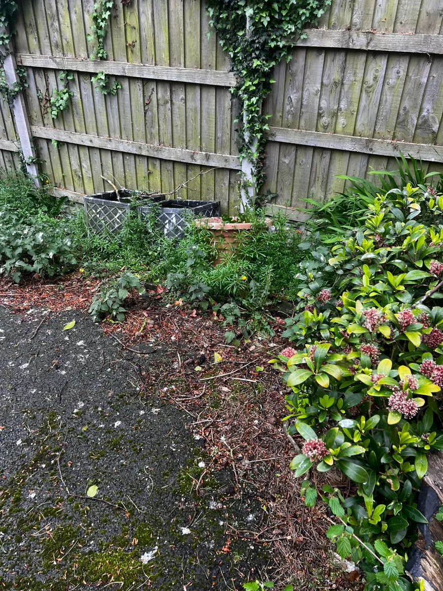 Border clearance — before