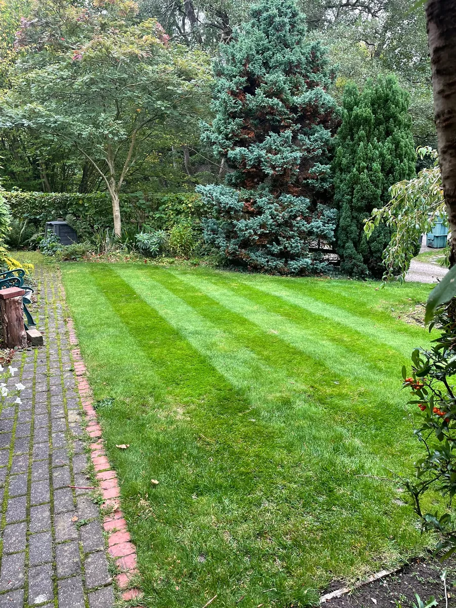 Striped lawn after mowing
