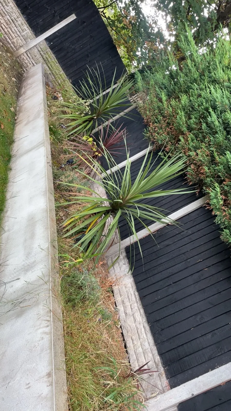 Planting border — before mulching