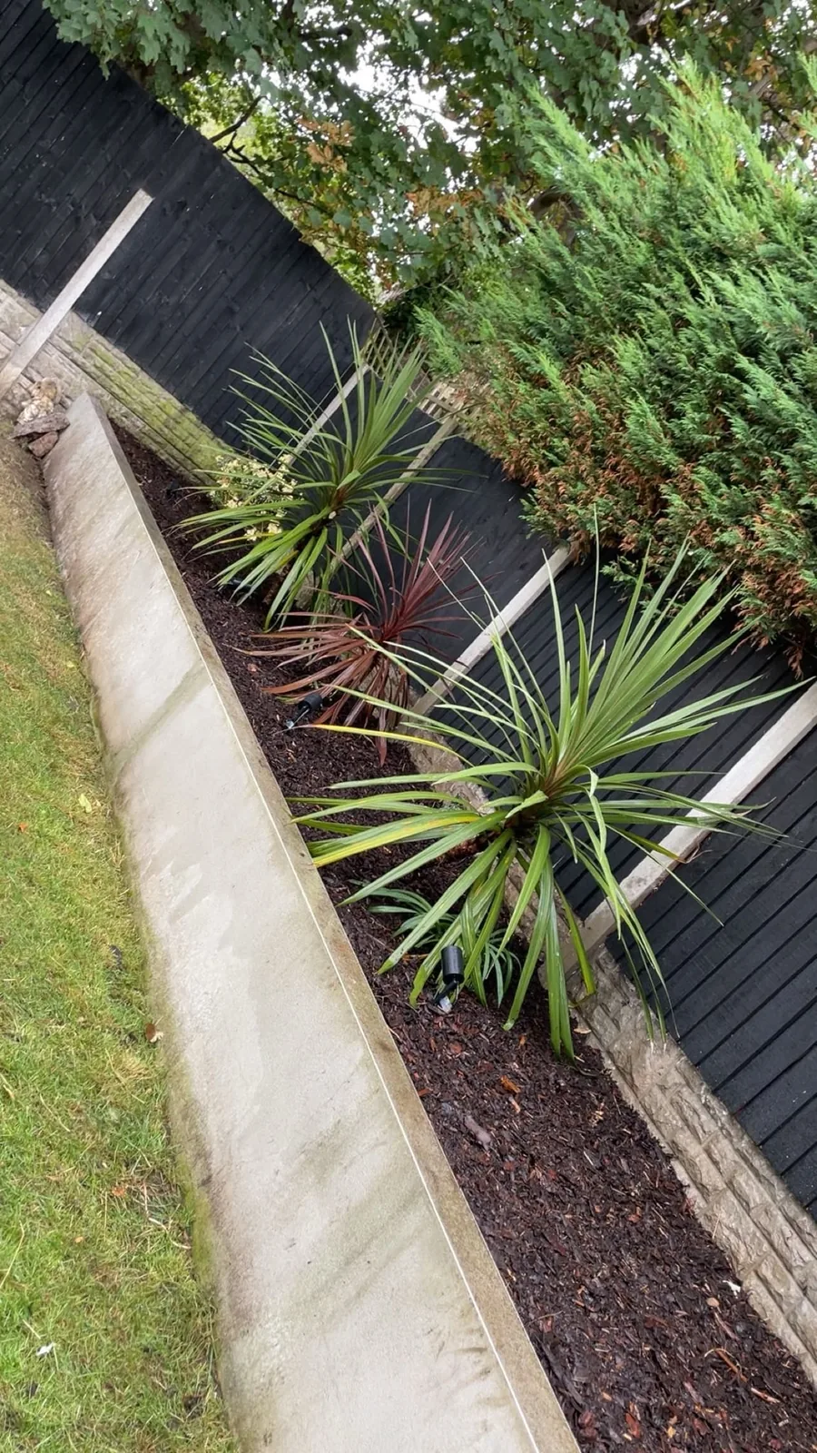 Planting border — after mulching