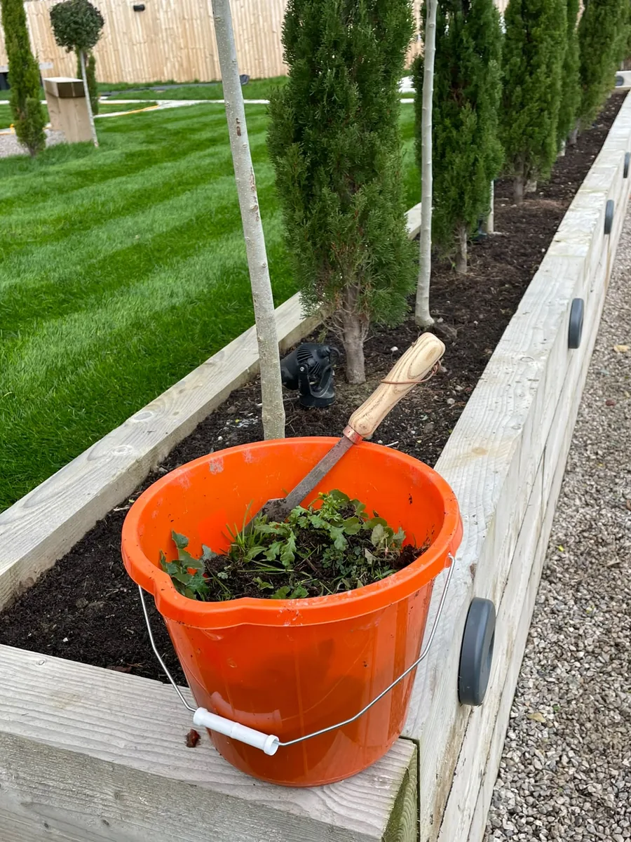 Raised sleeper bed with planting
