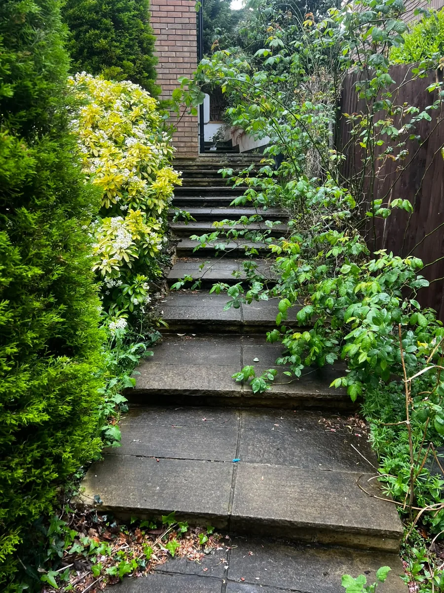 Garden steps overgrown with weeds — before clearance