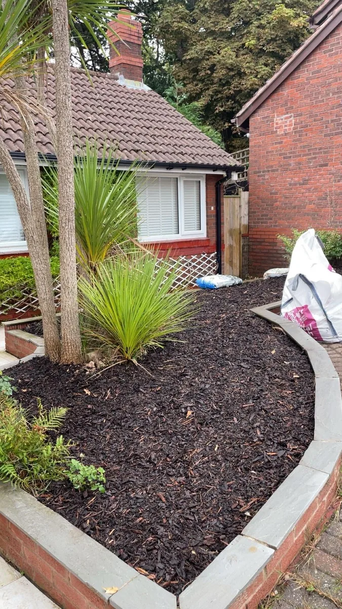 Mulching and bark border planting — after